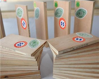 楊木多層板 楊木多層板